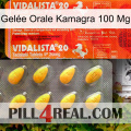 Gelée Orale Kamagra 100 Mg new01